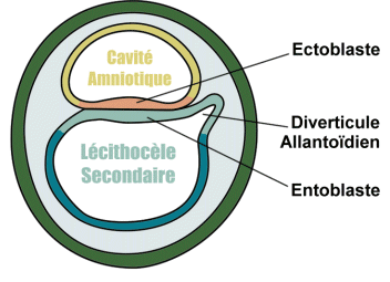 Capture d’écran 2013-09-26 à 17.19.30.png