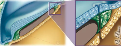 Capture d’écran 2013-09-26 à 19.03.51.png