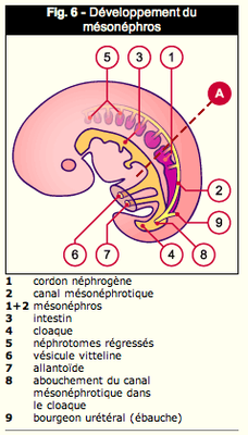 Capture d’écran 2013-09-30 à 17.37.34.png