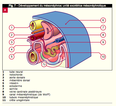 Capture d’écran 2013-09-30 à 17.40.12.png