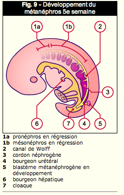 Capture d’écran 2013-09-30 à 17.43.02.png