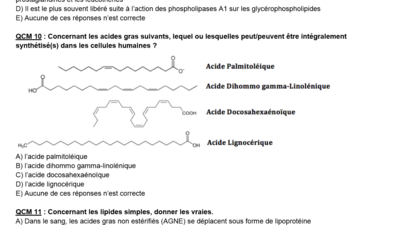 Capture d’écran (31).png