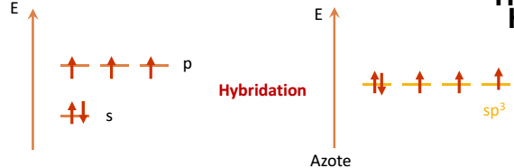 Hybridattion azote.png