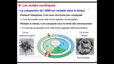 Capture d’écran (39).png