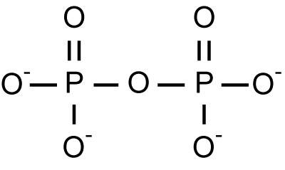 pyrophosphate.jpg