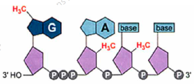 Capture d’écran 2013-10-09 à 14.20.40.png