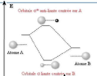 OM.png