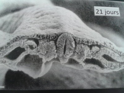 2013-10-10 10.49.45.jpg