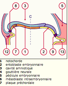 Capture d’écran 2013-10-10 à 15.51.07.png