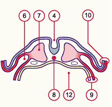 Capture d’écran 2013-10-10 à 15.58.53.png