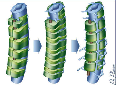 Capture d’écran 2013-10-10 à 17.51.59.png
