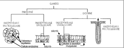 Capture d’écran 2013-10-16 à 18.54.28.png