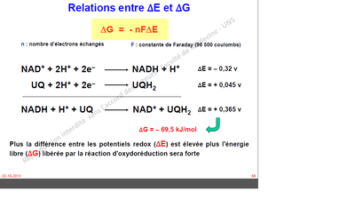 Potentiel Redox.png