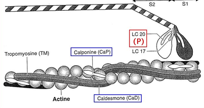 Capture d’écran 2013-10-27 à 16.26.50.png