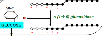 Capture d’écran 2013-10-31 à 09.33.47.png