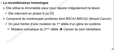Capture d’écran 2013-11-01 à 09.57.05.png