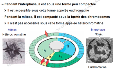 Capture d’écran 2013-11-04 à 17.37.51.png