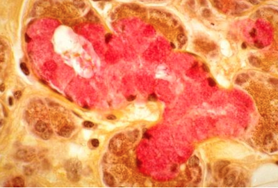 Capture d’écran 2013-11-05 à 21.37.19.png