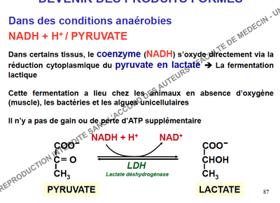 Capture d’écran 2013-11-07 à 15.18.46.png