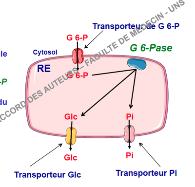 Capture d’écran 2013-11-08 à 09.01.22.png
