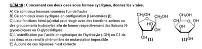 Qcm 18 glucides annatut.jpg