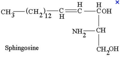 Sphingosine.PNG