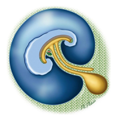 Capture d’écran 2013-11-20 à 08.22.43.png