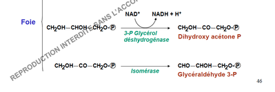 Capture d’écran 2013-11-20 à 21.35.38.png