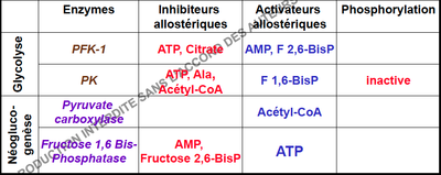 Capture d’écran 2013-11-20 à 22.29.13.png