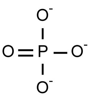 phosphate.jpg