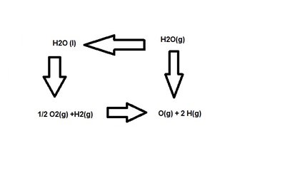 cycle question fofo.jpg