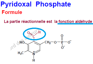 pyridoxal phosphate.png