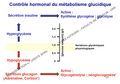 Capture d’écran 2013-11-26 à 20.52.26.png