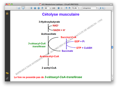 Capture d’écran 2013-11-26 à 21.37.58.png