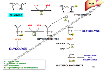 Capture d’écran 2013-11-27 à 08.23.53.png