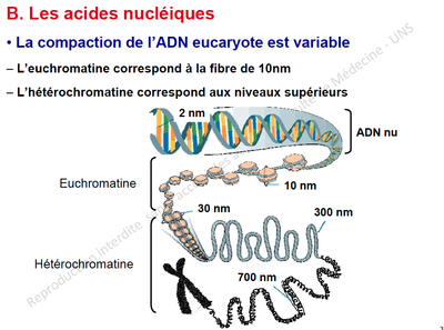 Capture d’écran 2013-11-27 à 23.47.26.png