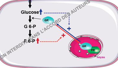 Capture d’écran 2013-11-30 à 15.47.18.png