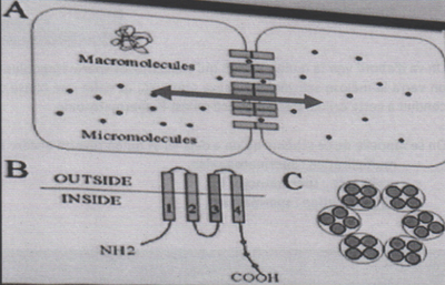 Gap Jonction BDR.png