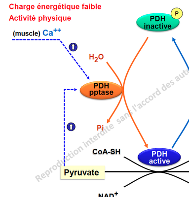 Capture d’écran 2013-12-04 à 17.32.46.png
