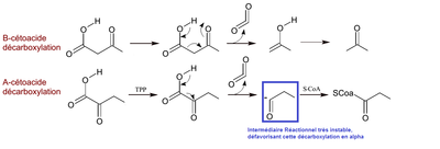 Décarboxylation.png