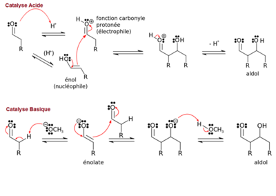 Aldolisation Catlyse.png
