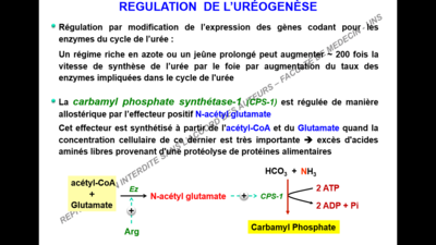 Capture d’écran (85).png