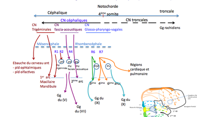 Capture d’écran 2014-01-15 à 21.43.23.png