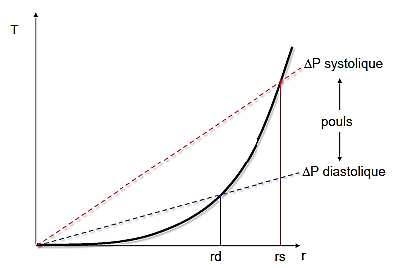 diastolesystole.PNG