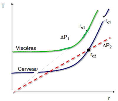 courbe pathologique.png
