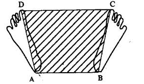 POLYGONE SUSTENTATION.jpg