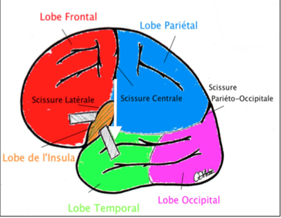 Capture d’écran 2014-01-21 à 19.20.21.png