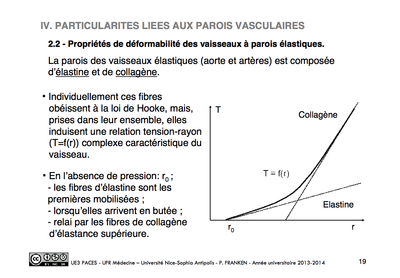 Biophysique circulation p19.png