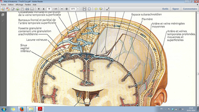 Capture d'écran 2014-01-24 23.18.33.png