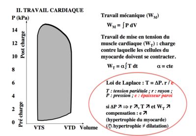 Travail cardiaque.png